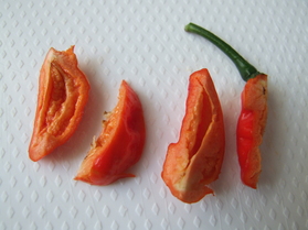 [Bhut Jolokia aufgeschnitten]