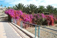 20010507 Fuerteventura