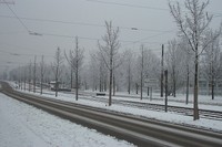 20020111 Winter in Karlsruhe