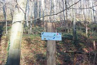 20021117 Untergrombach Ungeheuerklamm