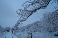 20030105 Winter Bruchsal