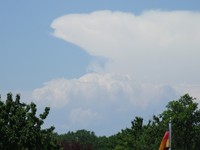 20080508 Diverses