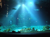 20081012 Hamburg Tropenaquarium