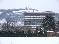 20100214 Winter Bruchsal