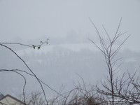 20141230 Schnee Bruchsal