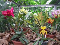 20171026 Prag Botanischer Garten