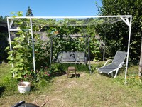 20180623 Garten