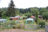 20180726 Garten
