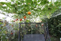 20180731 Garten