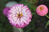 20180813 Garten