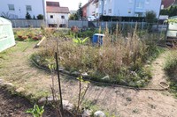 20181007 Garten