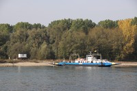20181020 Rhein Leopoldshafen
