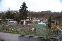 20181119 Garten