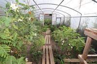 20200819 Garten Weitwinkel