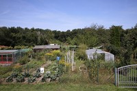20210811 Garten