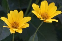 20210905 Ifflandstrasse
