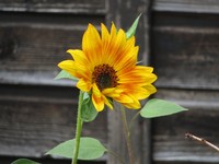 20210919 Garten