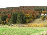 20211031 Esthal