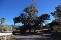 20211226 La Palma Diverses