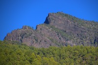 20211229 La Palma Montana de Hiedra