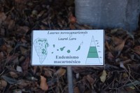 20220104 La Palma Botanischer Garten