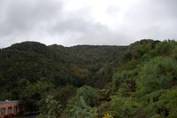 20220107 La Palma Montana de la Brena