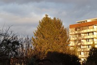 20220207 Abend Untergrombach
