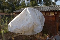 20220403 Garten