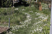 20220416 Garten