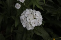 20220526 Garten