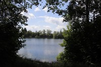 20220529 Baggersee Büchenau