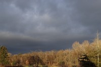 20230109 Diverses