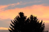 20230817 Sonnenaufgang