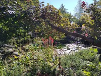 20230908 Park Vulpius-Klinik
