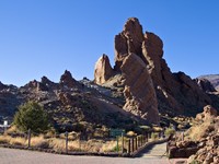 20231203 Teneriffa Roques de Garcia