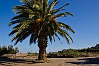 20231212 Teneriffa Erjos