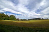 20241006 Wanderung Michaelsberg