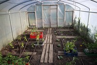 20250515 Garten Weitwinkel