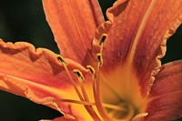 20250619 Garten