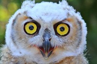 20250619 Vogelpark Neuthard