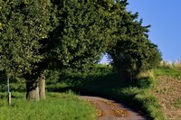 20250831 Wanderweg BR-1