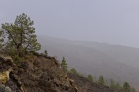 20250917 Teneriffa Saharastaub
