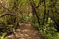 20250920 Teneriffa Rundweg La Ensillada