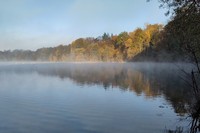 20251106 Morgennebel Baggersee Untergrombach