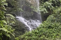 20251203 La Palma Los Tilos
