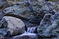 20251208 La Palma Barranco de las Angustias