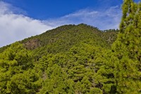 20251209 La Palma Pico Bejenado