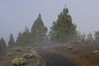 20251210 La Palma Cumbre Vieja