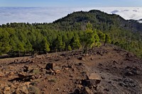 20251211 La Palma Cumbre Vieja
