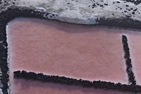 20251215 La Palma Saline